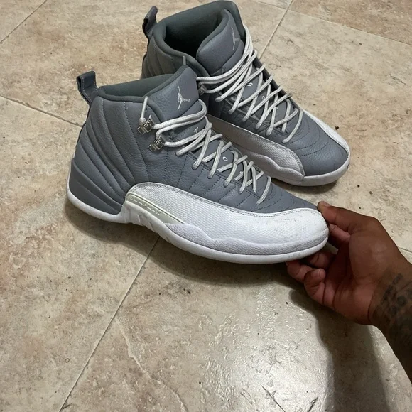 Jordan men’s retro 12STEALTH